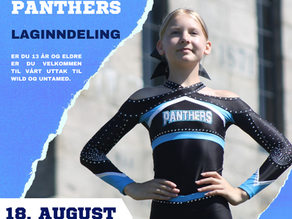 LAGINNDELING