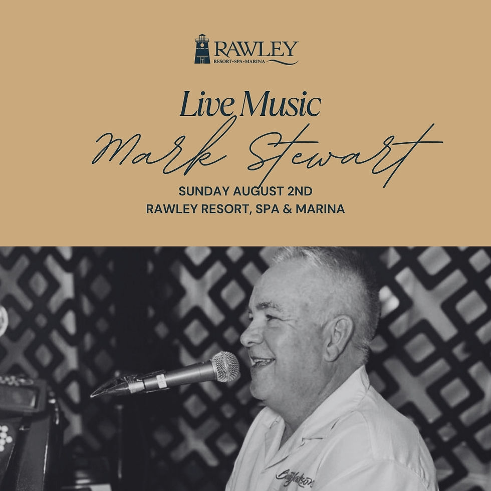 Live Music - Mark Stewart