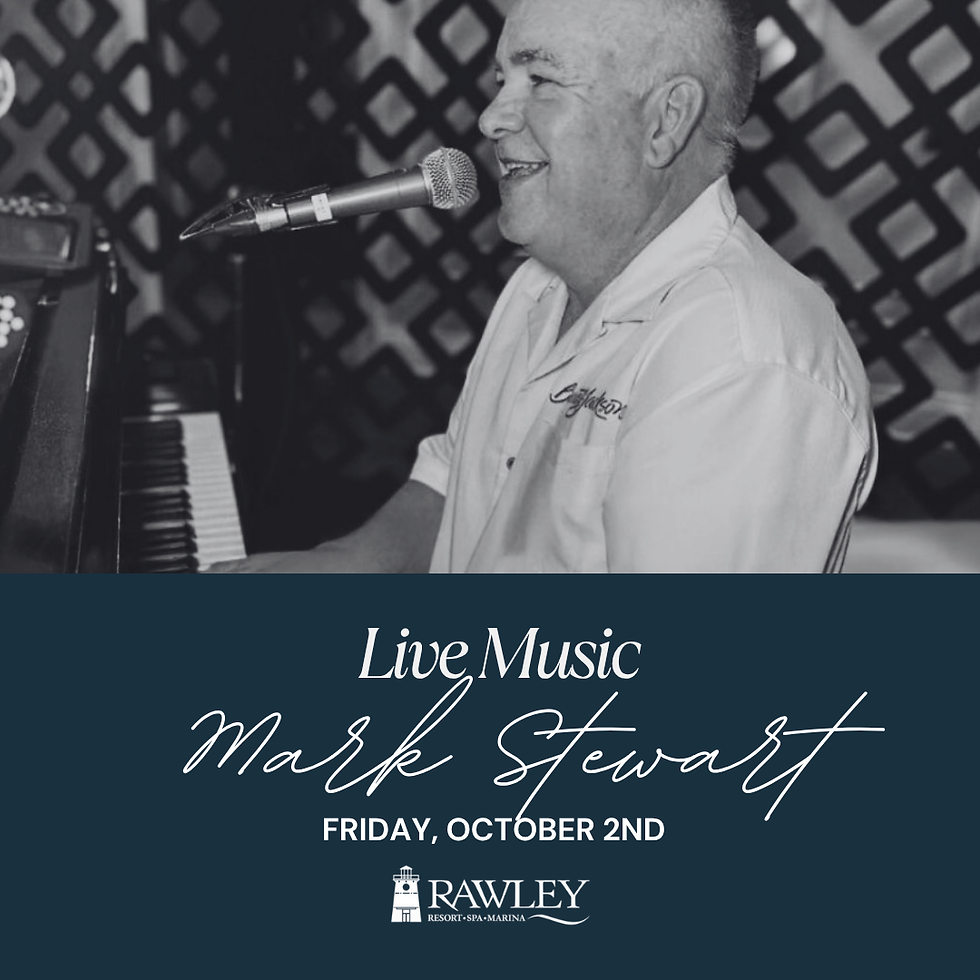 Live Music - Mark Stewart