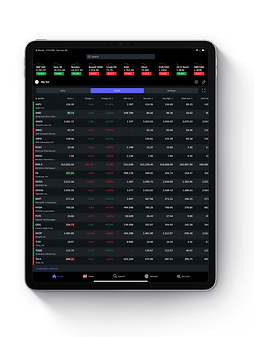 ipad options portfolio mockup.png
