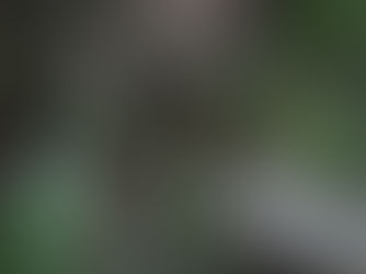 【WixStudio】バグが出た時の解消法!