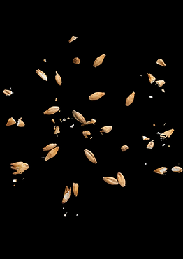 Pain surgelé professionnel