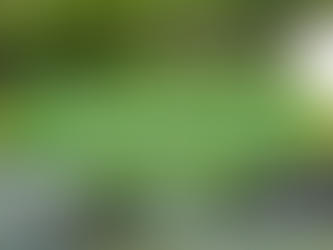 Today, quickly, surely.