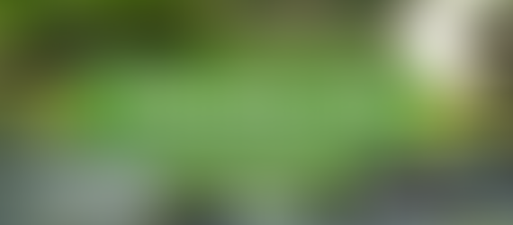 Today, quickly, surely.