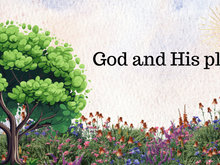 Pearls from the Bible 51