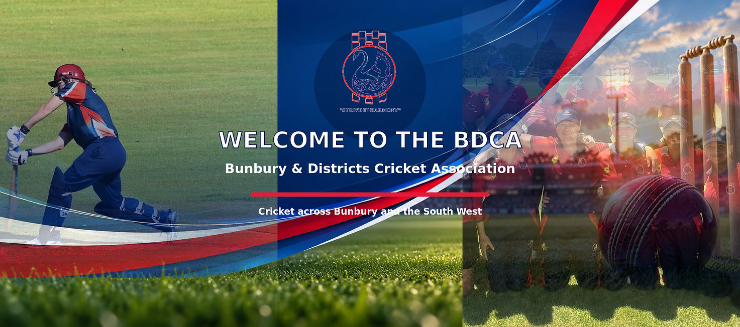 BDCA-home-primary-welcome-hero.jpg