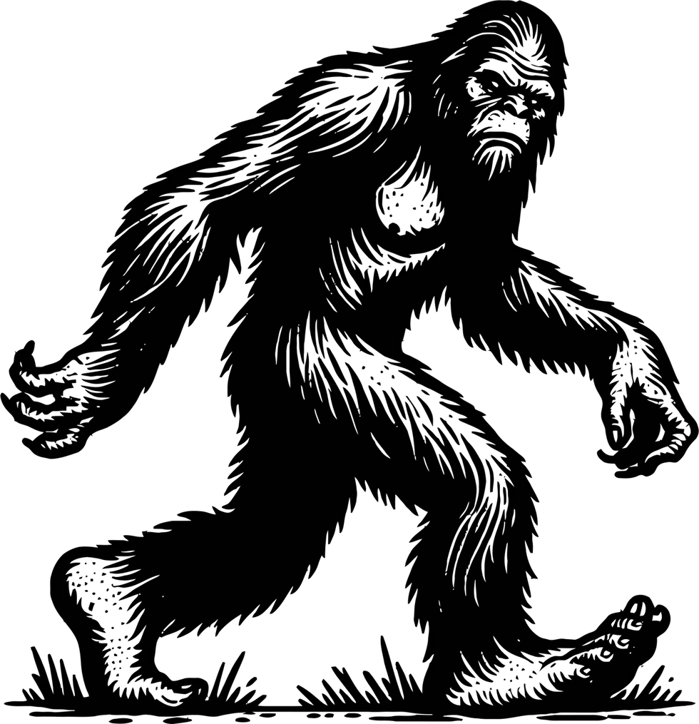 blue-yeti-8859519_1280.png