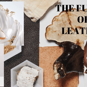 Love leather but want to be sustainable? Here’s how!