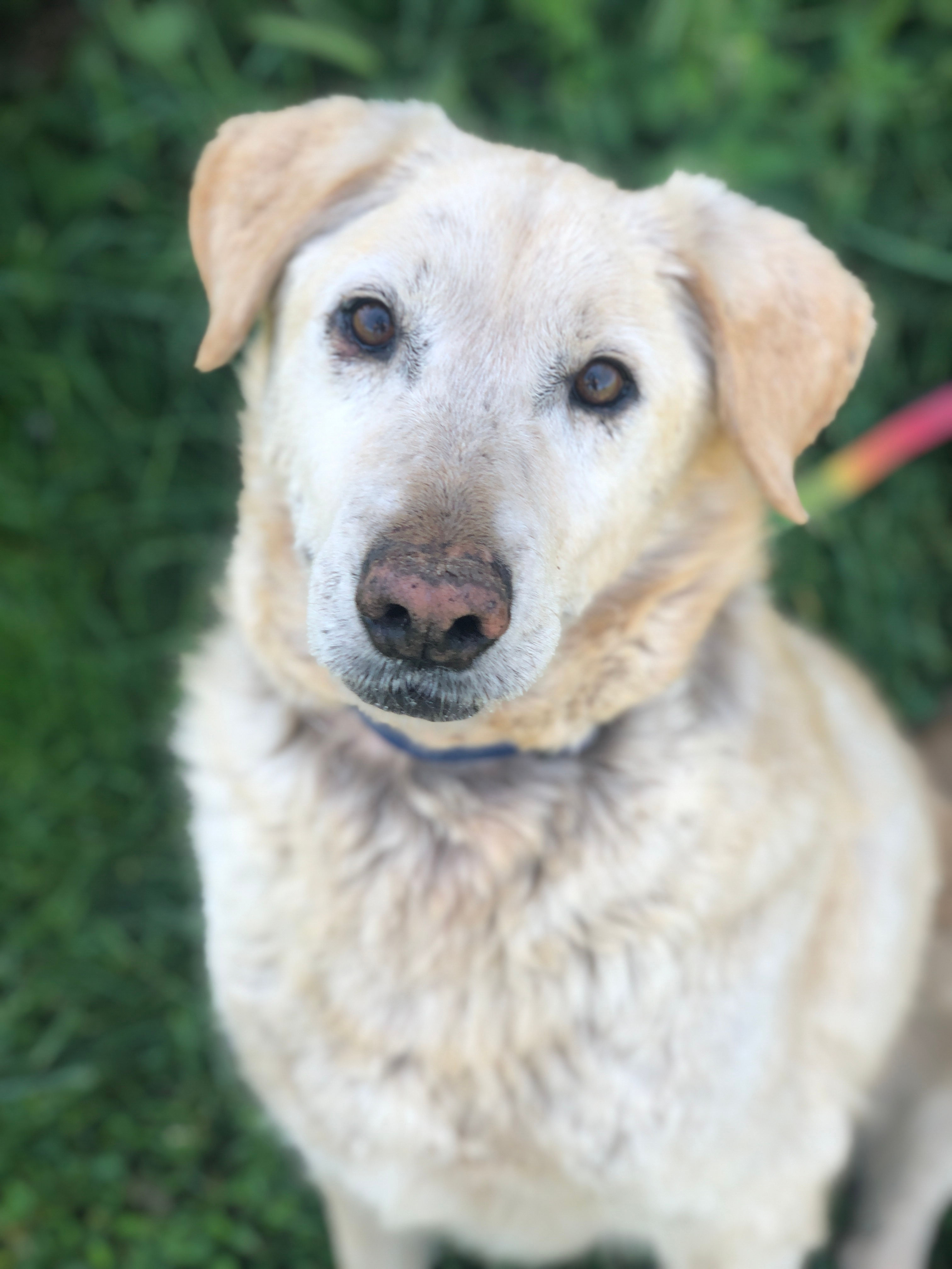 Watson, 10 years or so