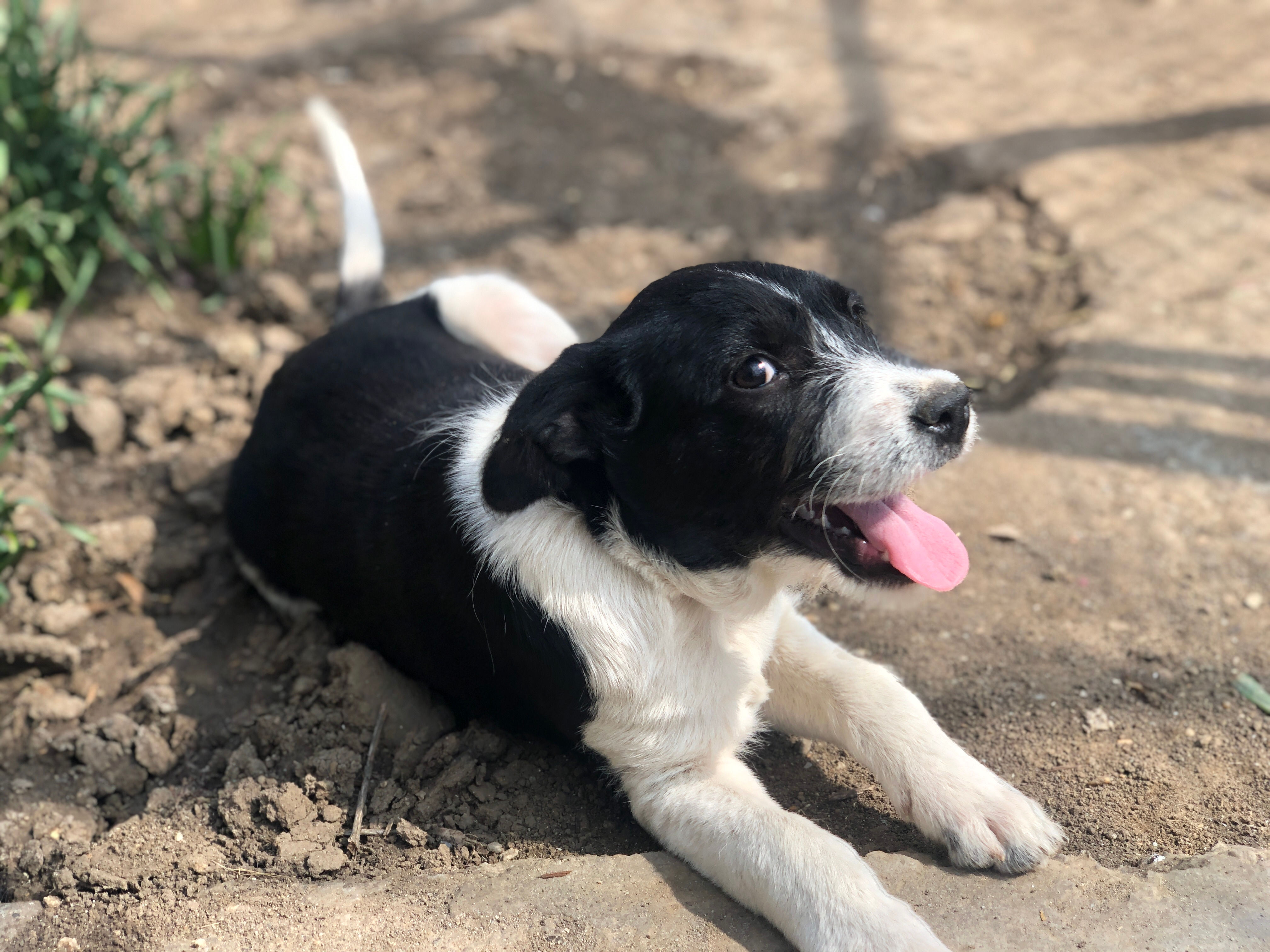 Felix, born December