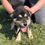Thumbnail: Seren, born February