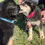 Thumbnail: Seren, born February