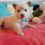 Thumbnail: Caspar, male, born early December