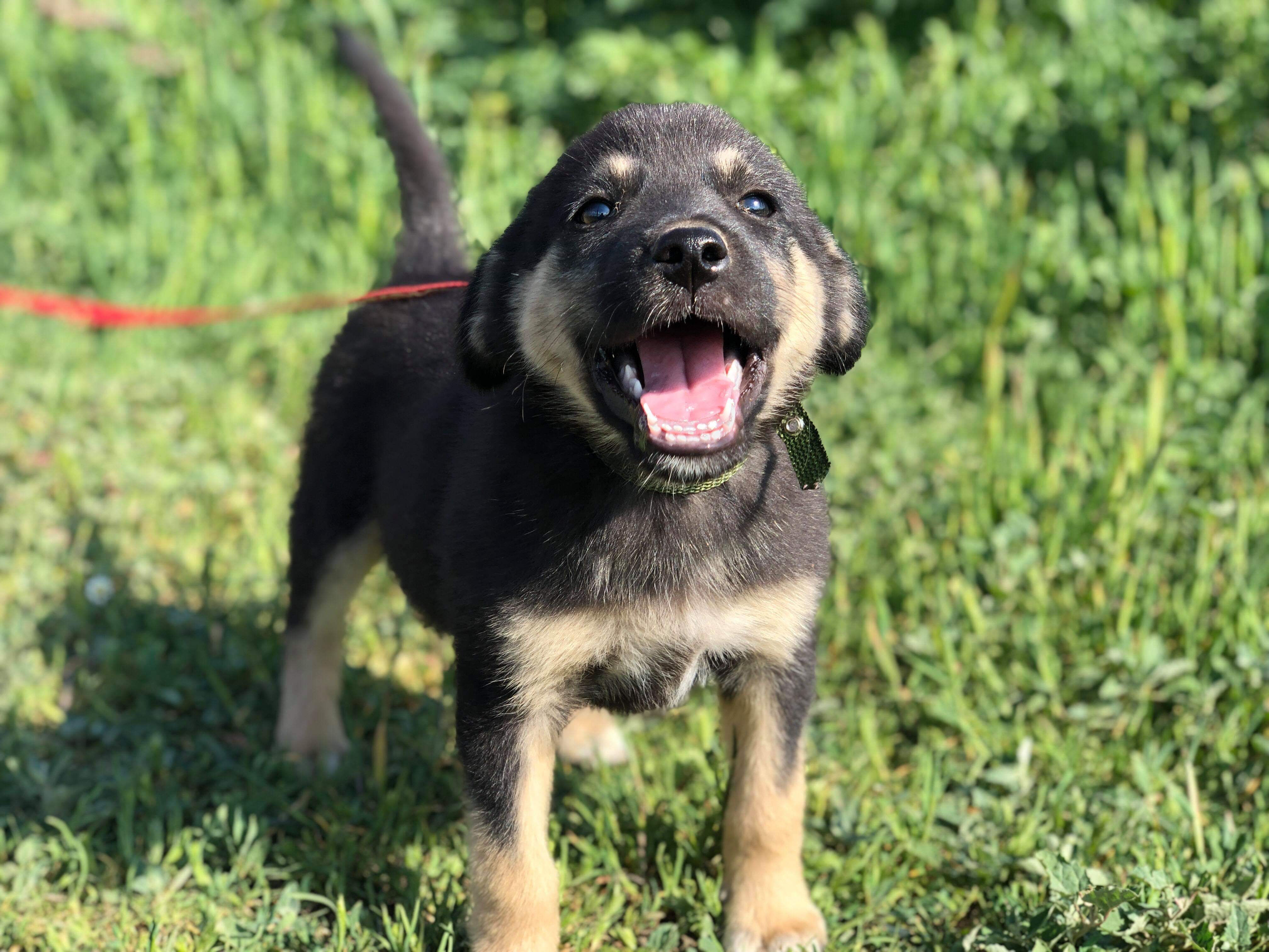 Nigel, born February