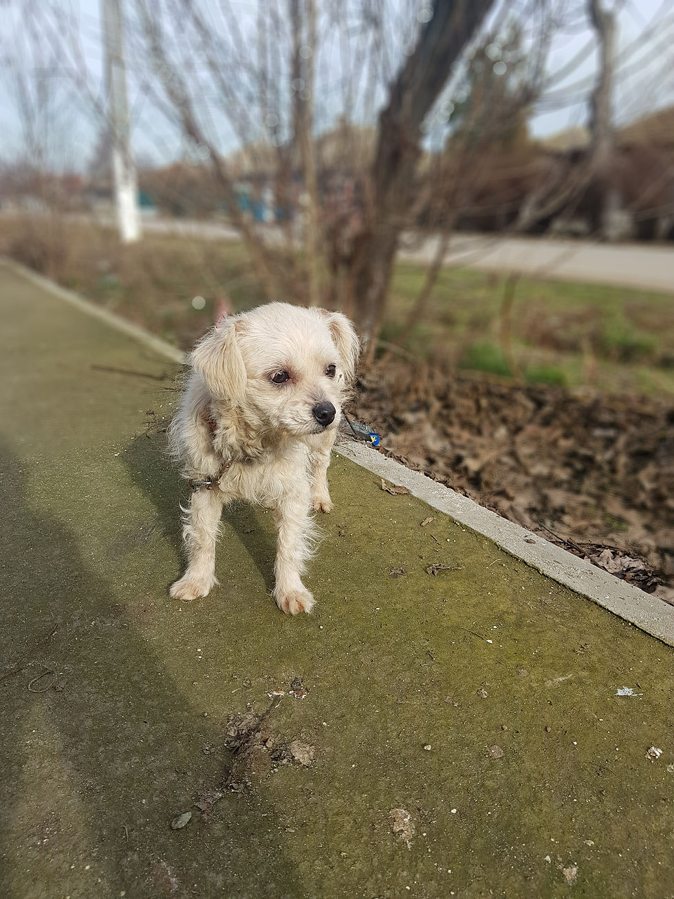 Thumbnail: Naiad, 1 year,small