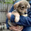 Thumbnail: Rickon, male, born mid February