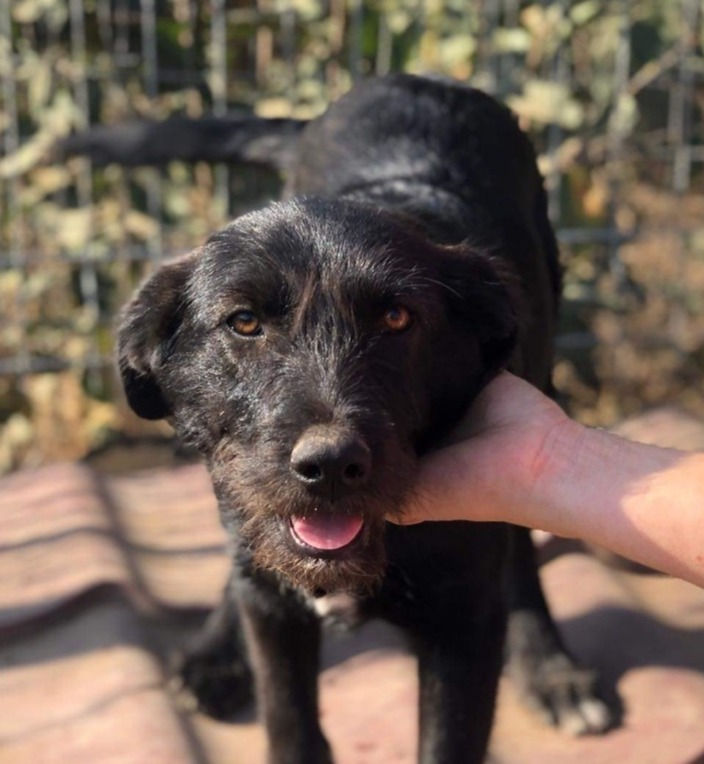 Thumbnail: Meg, born mid April 2019