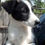 Thumbnail: Sansa, female, born mid February