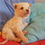 Thumbnail: Caspar, male, born early December