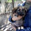 Thumbnail: Robb, male, born mid February