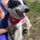 Thumbnail: Rory, born March 2018