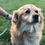 Thumbnail: Salvo, small, 2015
