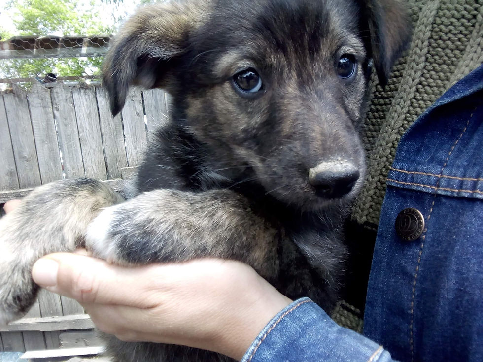 Thumbnail: Catelyn, girl, born mid February