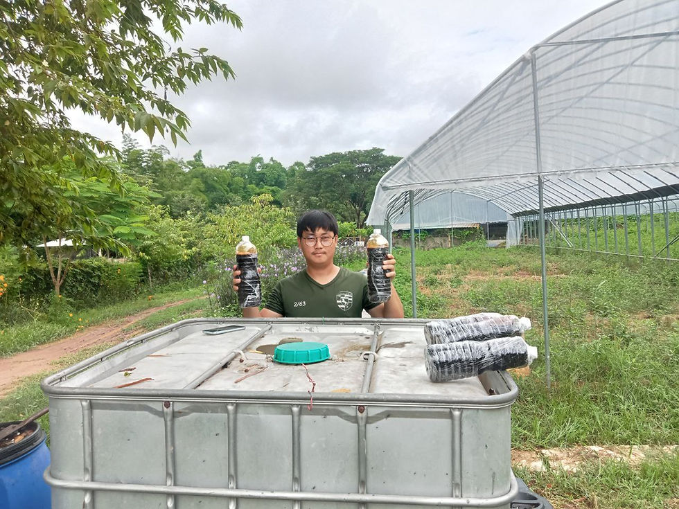 Making Organic Fertilizer