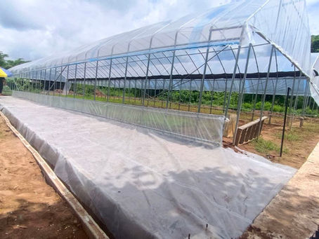 Making our new greenhouses