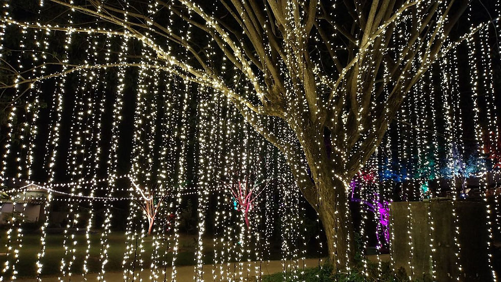 The Nan Lights Grand Opening