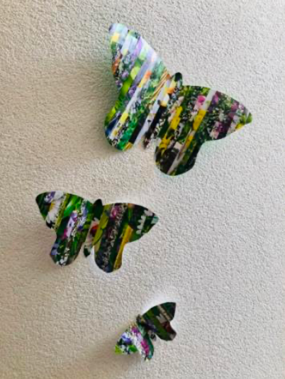 Papillons