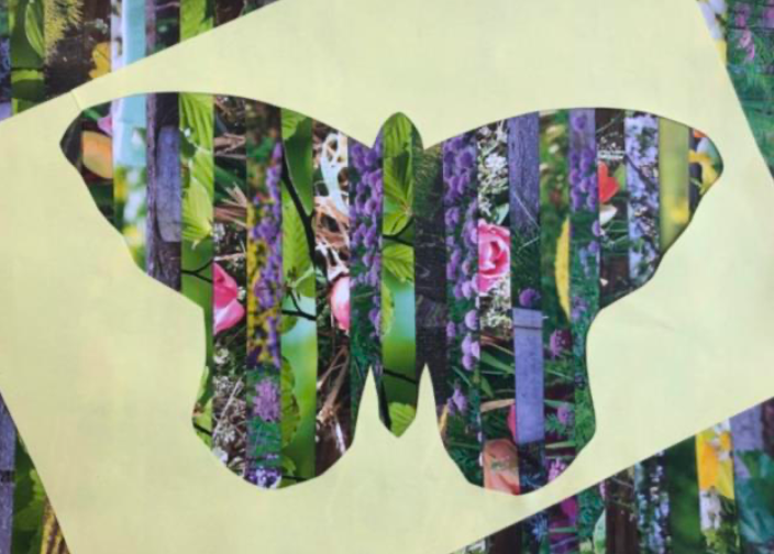 Tableau papillon