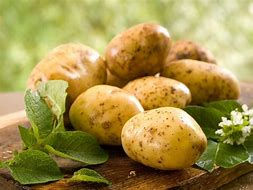 La pomme de terre