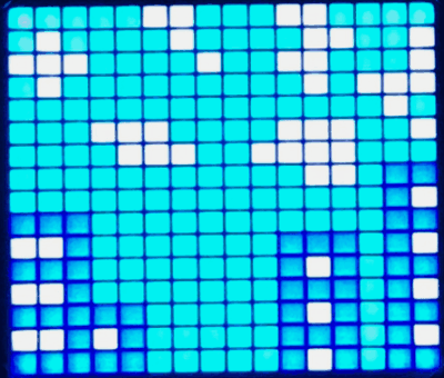 bw.gif