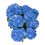 Miniatura: BELA BLUE