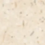 100644