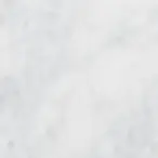 100601