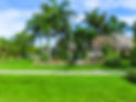 AdobeStock_213392483.jpeg