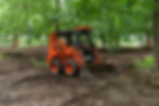 AdobeStock_452039866.jpeg