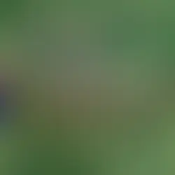 The Wakarusa River Valley: Community Shapes a Vision for Conservation and Connection