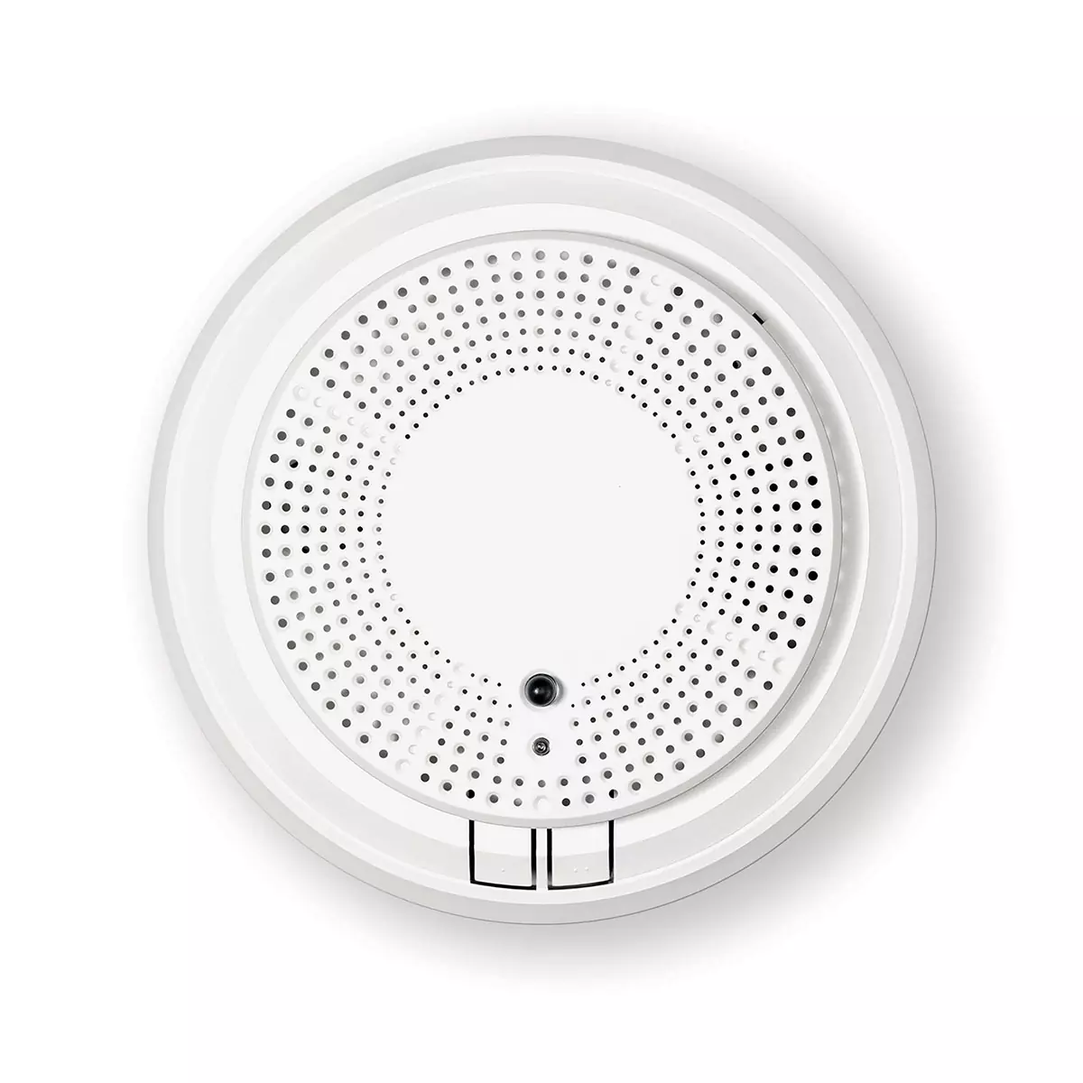 Detector.webp