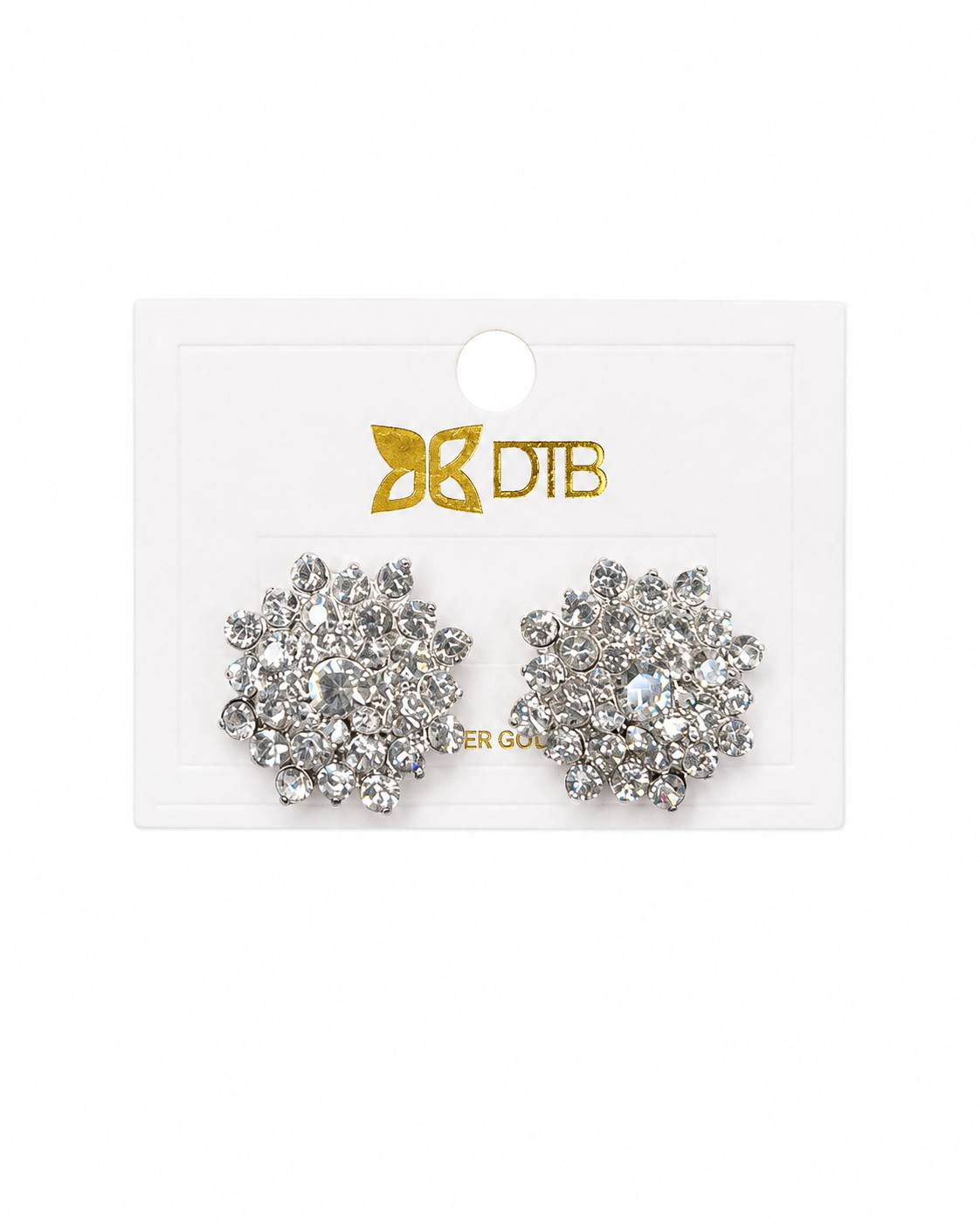 Zarcillos DTB