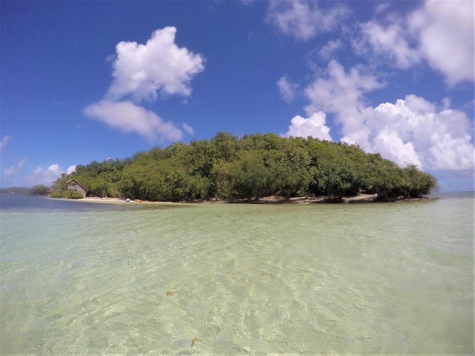 ILET MADAME, MARTINIQUE
