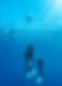Freediving1.jpeg
