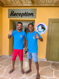 Hashim & Abdalla Sedky