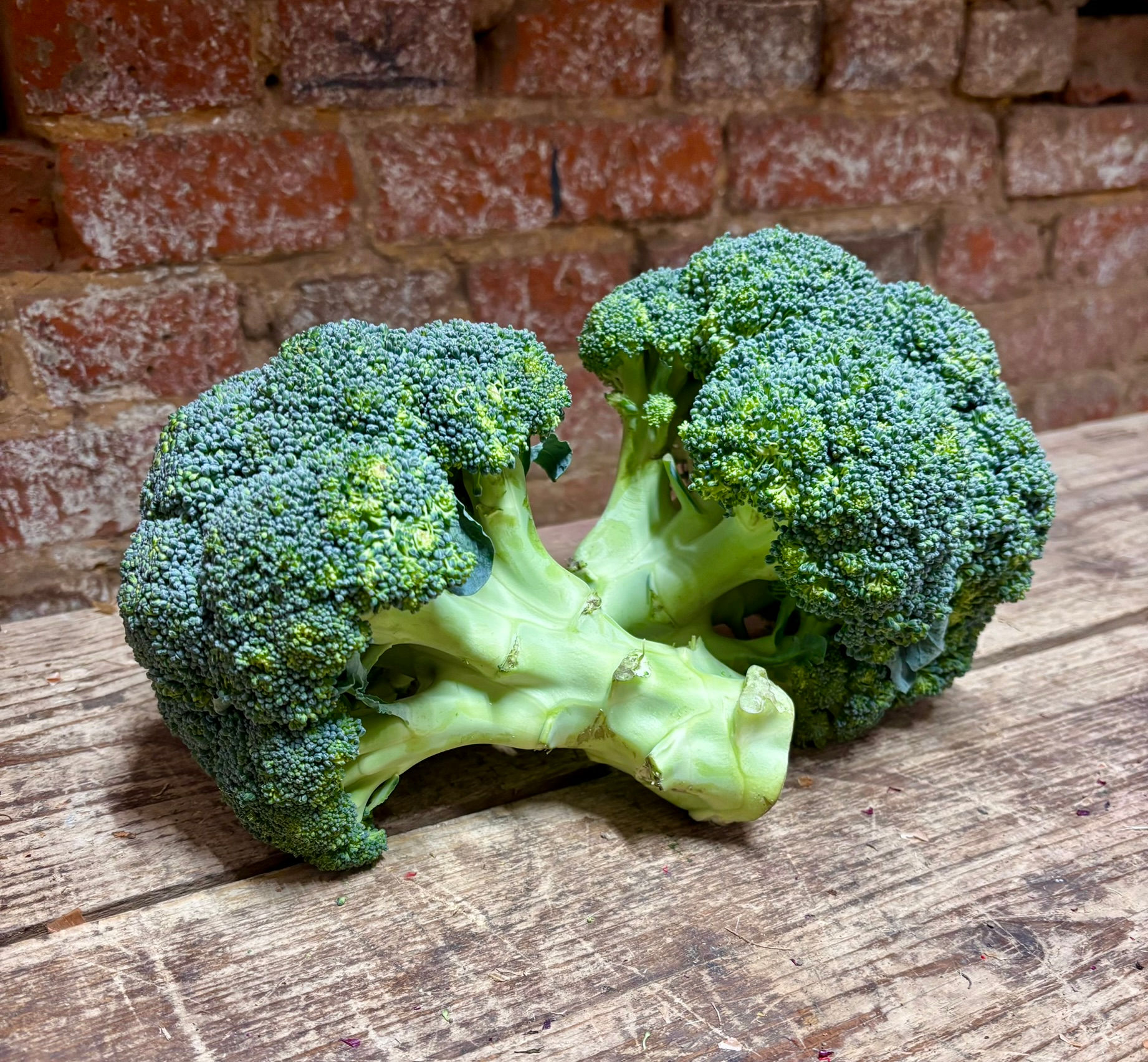Brocolis - x 2 têtes