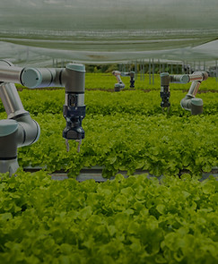 smart agriculture_edited.jpg