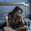 Thumbnail: The 'Chocolate Rococo Robe'