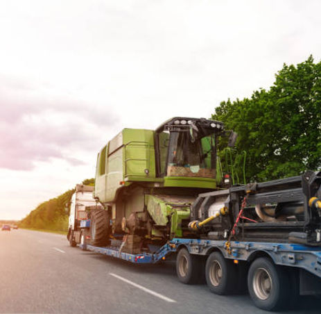 istockphoto-1253923736-612x612.jpg