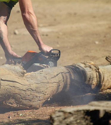 man-using-chainsaw-to-cut-tree-log-2026-03-18-10-34-29-utc.jpg